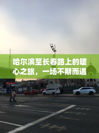哈尔滨至长春路上的暖心之旅,不期而遇的陪伴之旅