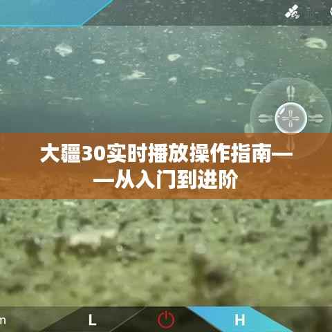 大疆30实时播放操作宝典,入门到进阶指南