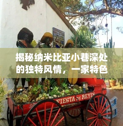 纳米比亚小巷深处的独特风情,一家特色小店的天气与故事探秘