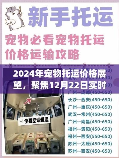 聚焦实时数据,揭秘宠物托运价格展望与故事