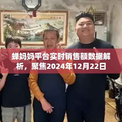 蝉妈妈平台实时销售额数据深度解析，聚焦未来，展望2024年12月22日销售趋势