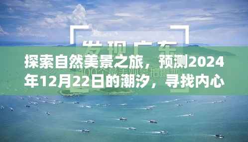 探索自然美景之旅,潮汐预测与心灵寻觅——2024年12月22日之旅