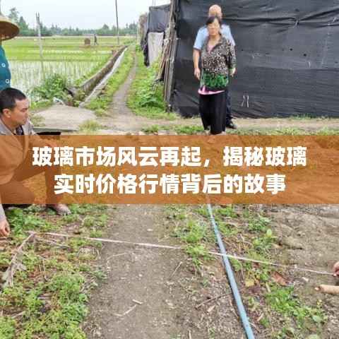 玻璃市场风云再起,揭秘实时价格行情背后的故事