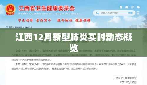 江西12月新型肺炎实时动态全览