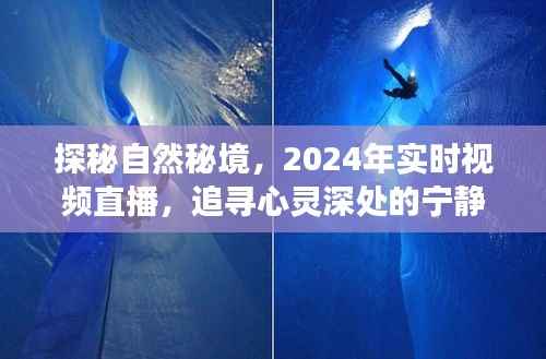 探秘自然秘境,心灵深处的宁静之旅,实时视频直播开启于2024年