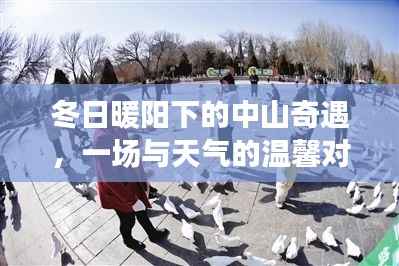 冬日中山奇遇，暖阳下的温馨天气对话