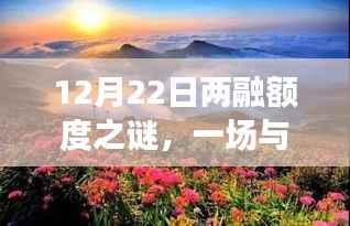 揭秘两融额度之谜,与自然美景的邂逅之旅