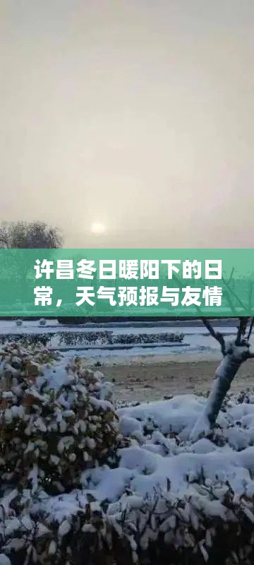 许昌冬日暖阳下的日常,天气与友情的双重播报