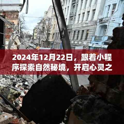 探索自然秘境，心灵之旅启程于小程序——2024年12月22日