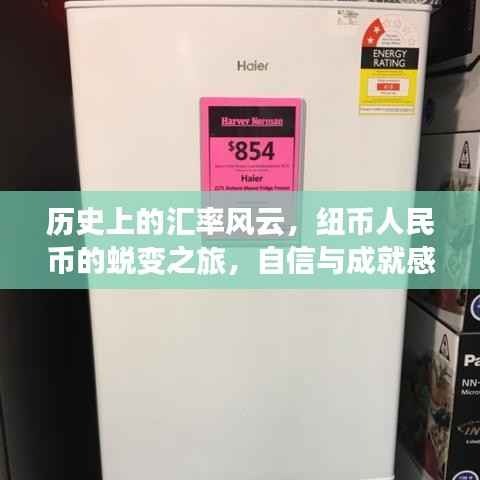 历史上的汇率风云,纽币人民币蜕变之旅与自信成就之源