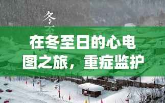 冬至日的心电图之旅,重症监护室与大自然的生命节奏