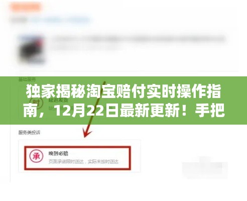 独家揭秘,淘宝赔付实时操作指南(最新更新版)教你轻松掌握赔付技巧