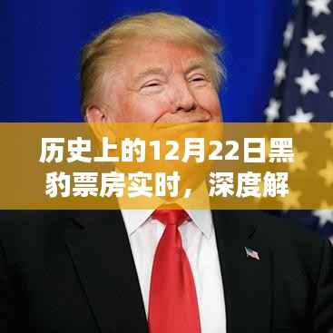 历史上的12月22日黑豹票房深度解析与观点阐述