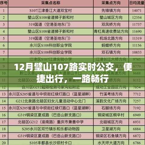 璧山107路公交，便捷出行，一路畅行实时查询服务启动