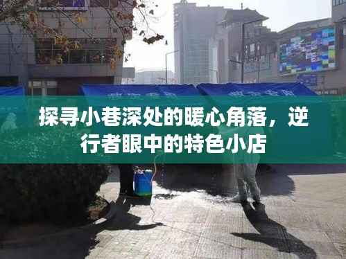 暖心角落与特色小店，逆行者眼中的小巷深情探寻