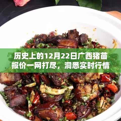 广西猪苗报价实时更新,洞悉历史行情,掌握市场动态