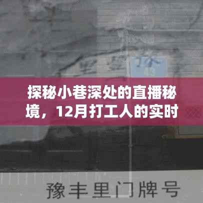 探秘小巷深处的直播秘境，揭秘打工人在冬季的真实生活秀
