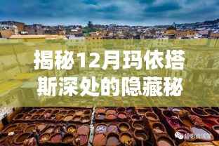 揭秘玛依塔斯深处秘境，小巷特色小店探秘之旅