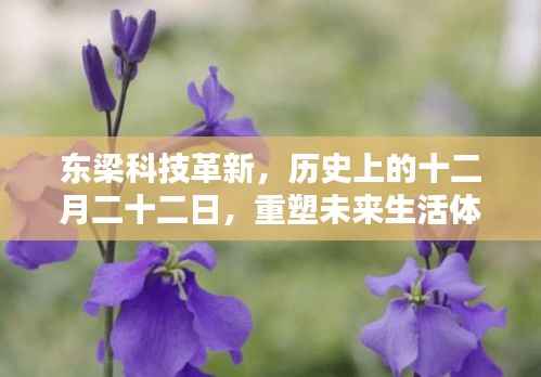 东梁科技重塑未来生活体验的历史革新日,十二月二十二日