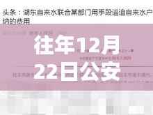 公安局网警实时监控大屏的利弊分析，历年案例分析总结与展望