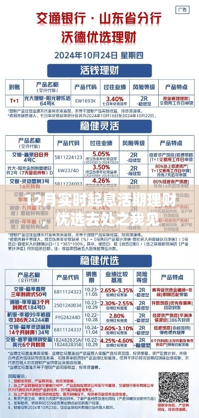 12月优选实时起息活期理财之选解析