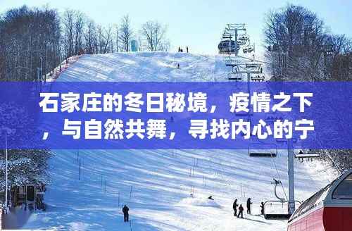 石家庄冬日秘境,疫情下的自然之旅与心灵绿洲探索