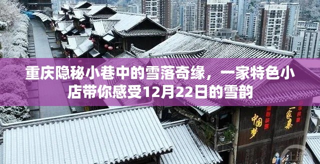 重庆隐秘小巷雪韵奇缘,特色小店带你领略冬至雪韵之美