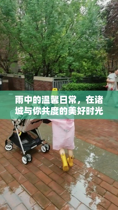 雨中温馨日常,诸城共度美好时光