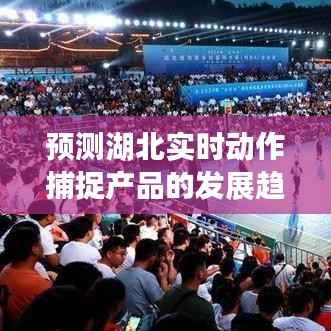 湖北实时动作捕捉产品发展趋势预测(2024年视角分析)