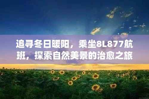 冬日暖阳下的治愈之旅，乘坐8L877航班探索自然美景