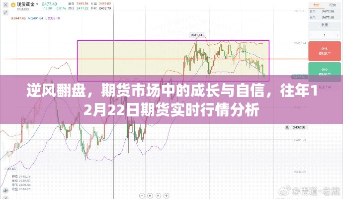 逆风翻盘，期货市场成长与自信，往年12月22日期货实时行情深度解析