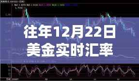 往年12月22日美金实时汇率设置方法详解与深度评测