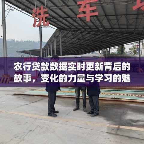 农行贷款数据实时更新背后的故事，变革之力与学习的魅力