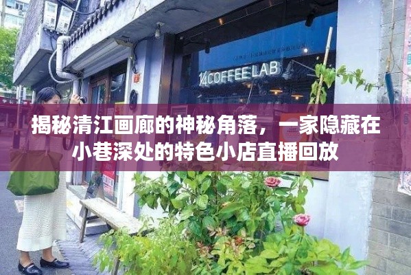 清江画廊深处的神秘角落,特色小店直播回放揭秘