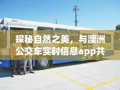 探秘自然之美,澳洲公交车实时信息app体验之旅