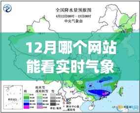 12月实时气象图在线观看网站