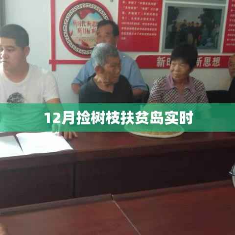 扶贫岛捡树枝行动进行时，12月实时进展
