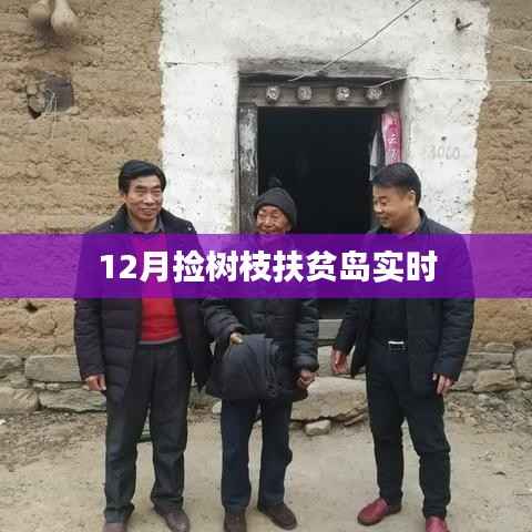 扶贫岛捡树枝行动进行时,12月实时进展