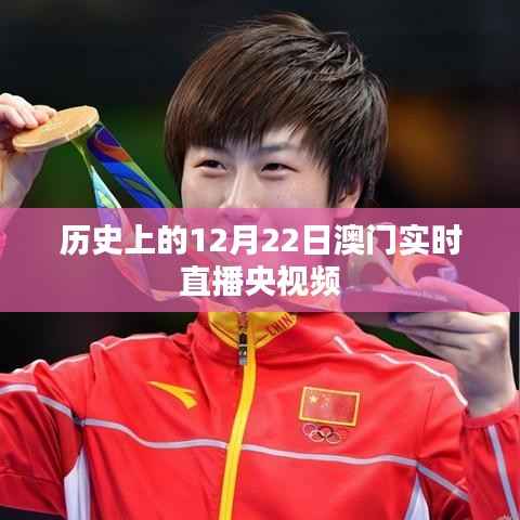 澳门历史时刻，央视频直播回顾澳门历史变迁的见证日