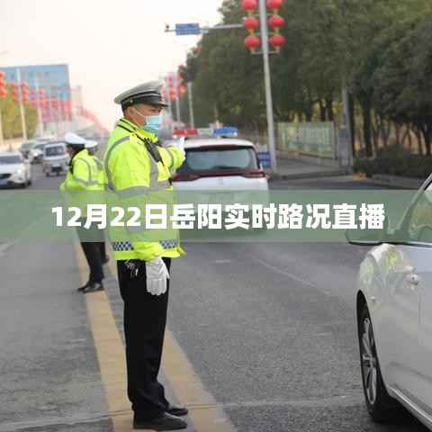 岳阳实时路况直播,最新路况信息播报