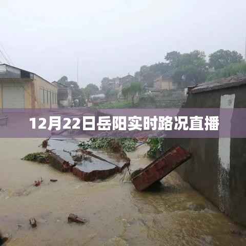 岳阳实时路况直播,最新路况信息播报