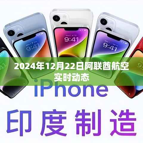 阿联酋航空航班实时动态,探索未来之旅