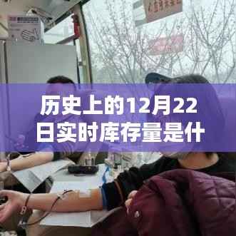 历史上的实时库存量解析,揭秘12月22日数据背后的意义