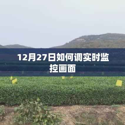 如何实时调整监控画面操作指南，12月27日教程分享