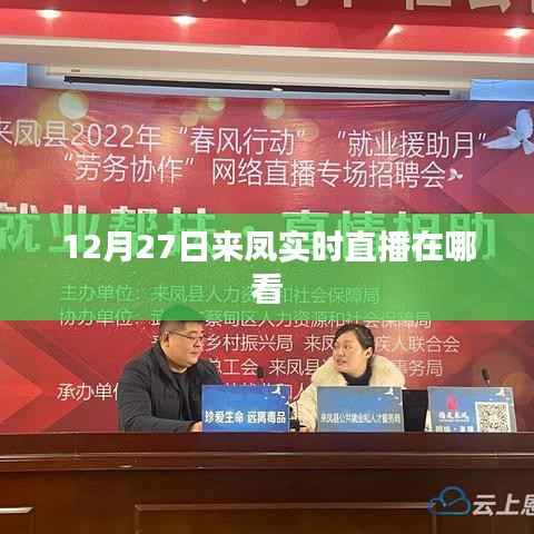 来凤实时直播,12月27日观看指南