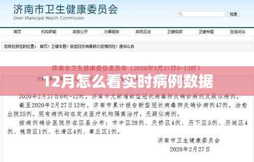12月实时病例数据全面解析