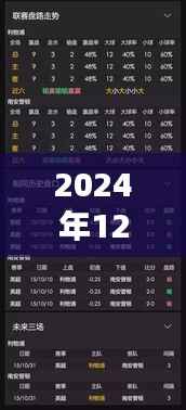 关于网贷人行卡个人实时数据的解读（2024年12月）