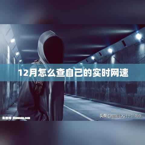 如何查询实时网速?掌握这些方法,轻松掌握网络速度!