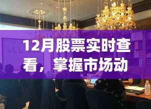 12月股市动态与投资机遇实时掌握