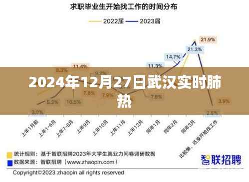 武汉实时肺热情况报道,关注健康,了解最新动态